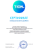 Обеззараживатель-очиститель Tion Clever